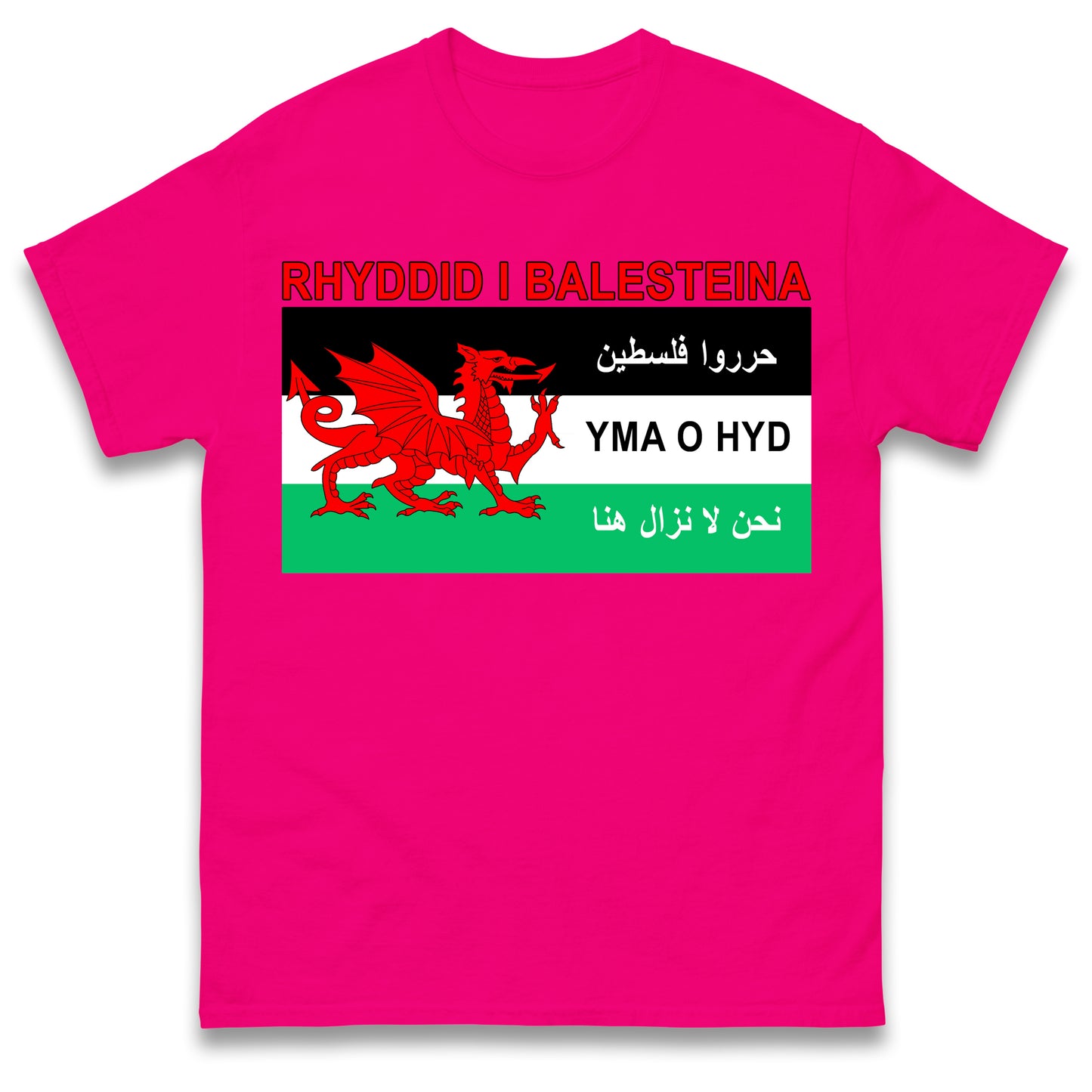 Welsh Pro Palestine T Shirt