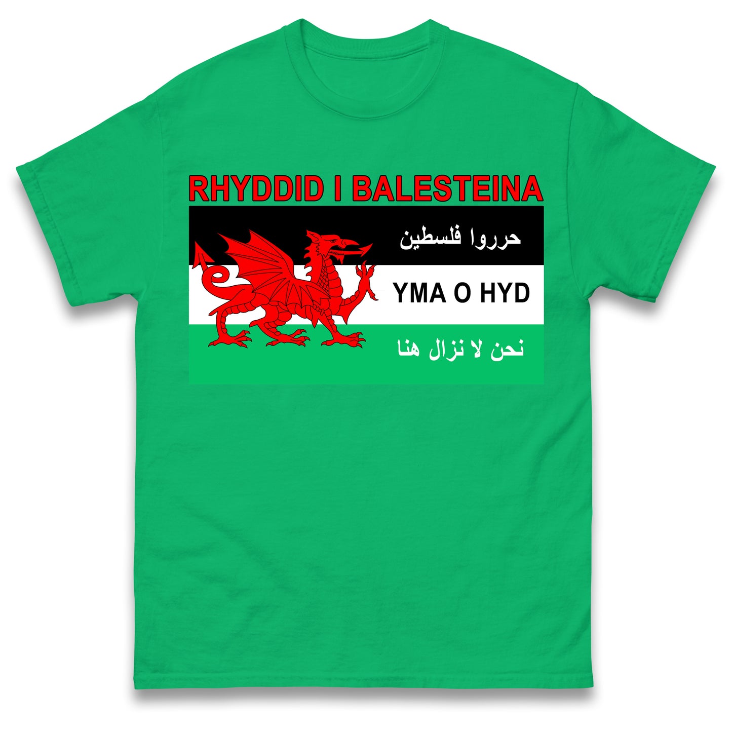 Welsh Pro Palestine T Shirt