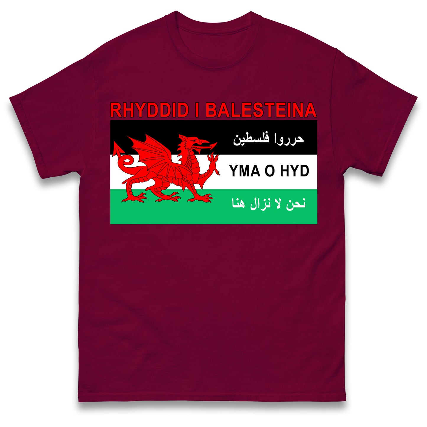 Welsh Pro Palestine T Shirt