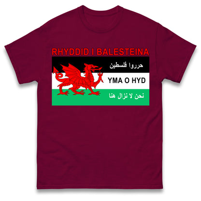 Welsh Pro Palestine T Shirt