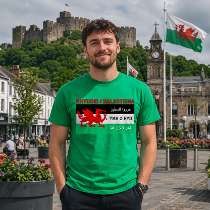Welsh Pro Palestine T Shirt
