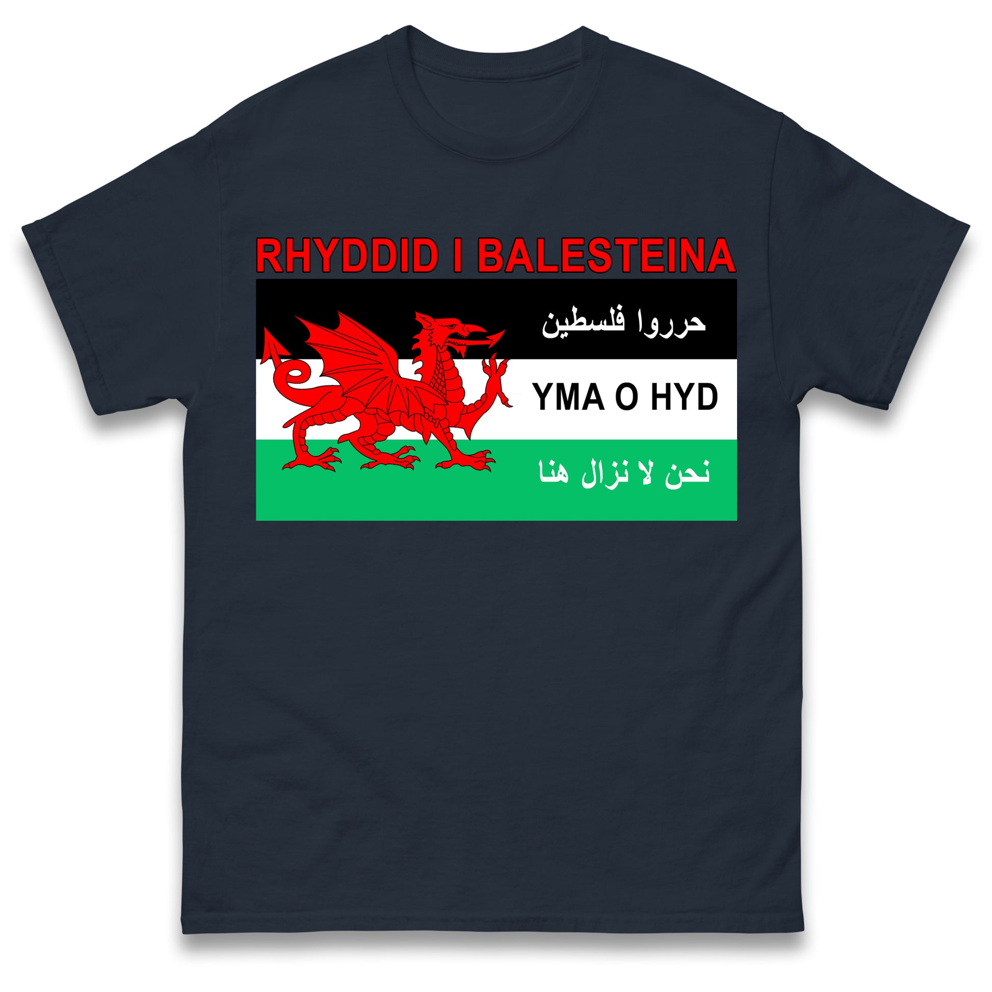 Welsh Pro Palestine T Shirt