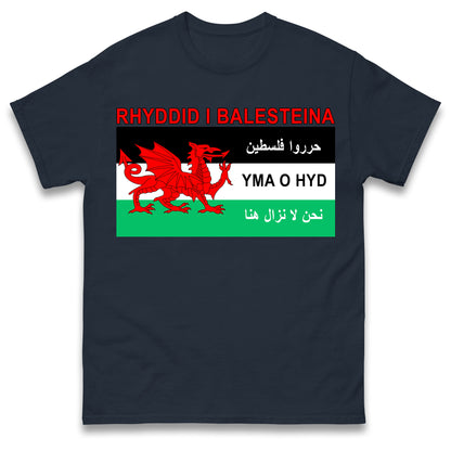 Welsh Pro Palestine T Shirt