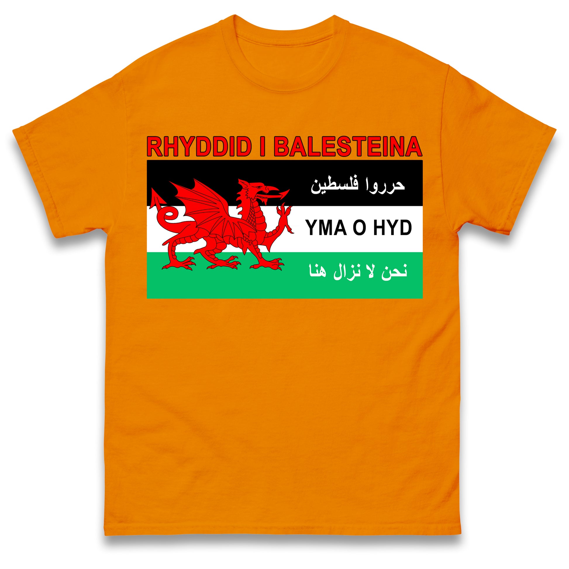 Welsh Pro Palestine T Shirt