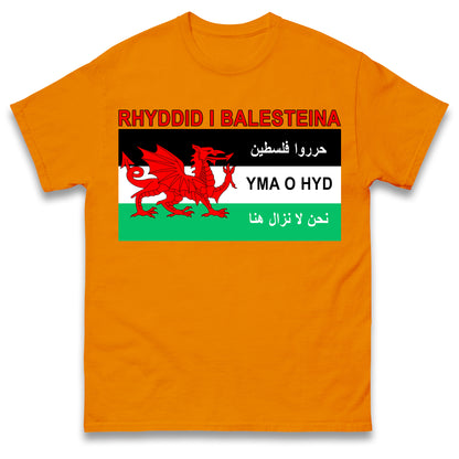 Welsh Pro Palestine T Shirt
