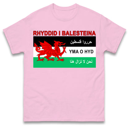 Welsh Pro Palestine T Shirt