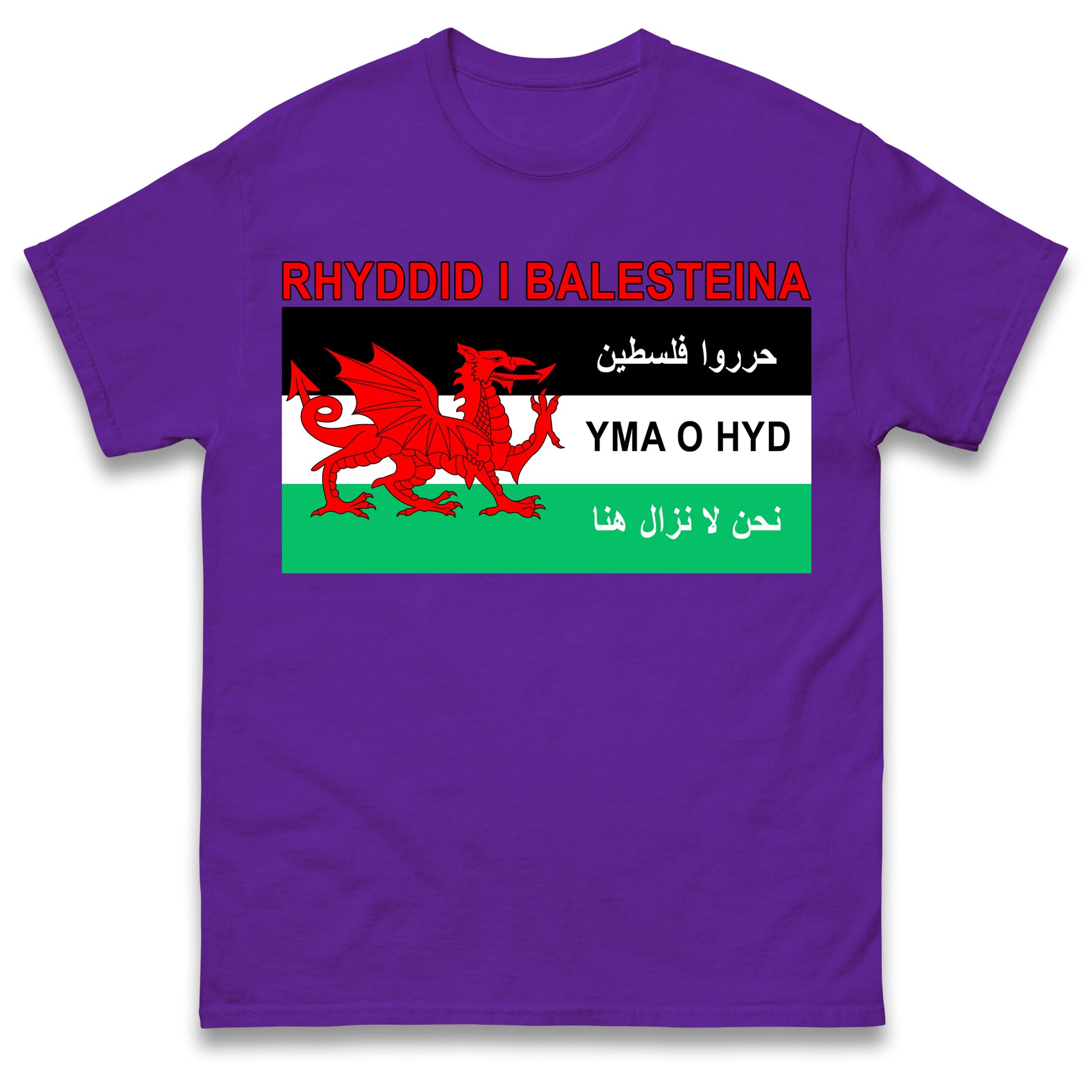 Welsh Pro Palestine T Shirt