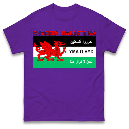 Welsh Pro Palestine T Shirt