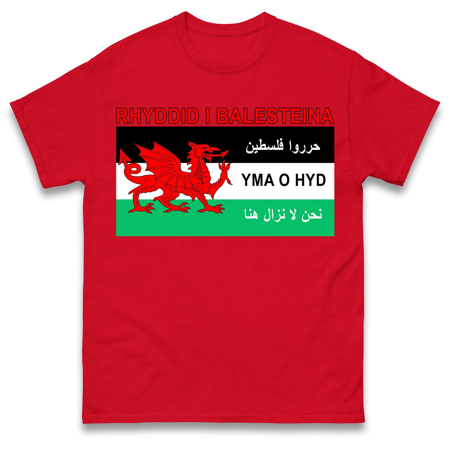 Welsh Pro Palestine T Shirt