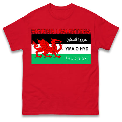 Welsh Pro Palestine T Shirt