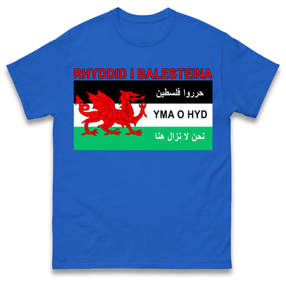 Welsh Pro Palestine T Shirt