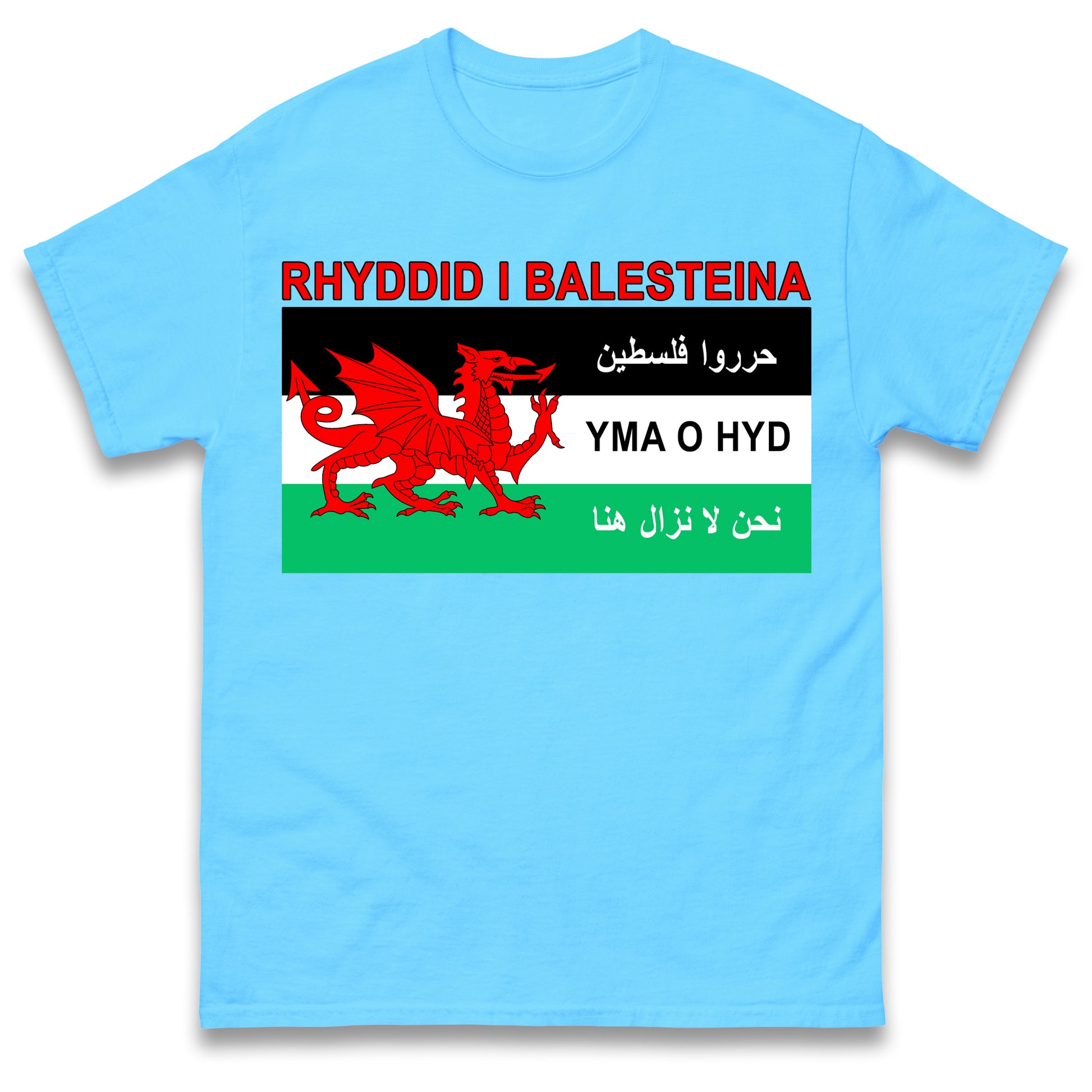 Welsh Pro Palestine T Shirt