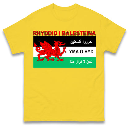 Welsh Pro Palestine T Shirt