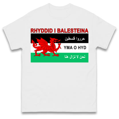 Welsh Pro Palestine T Shirt