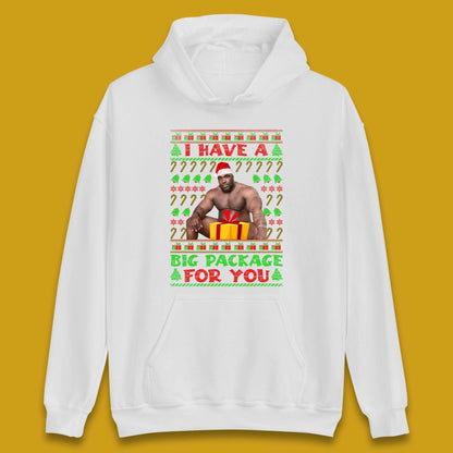 Big Package Ugly Christmas Unisex Hoodie