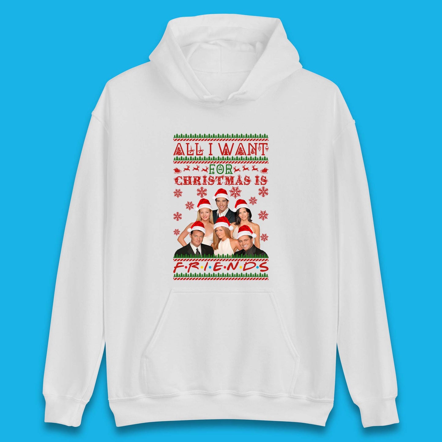 Want Friends For Christmas Unisex Hoodie