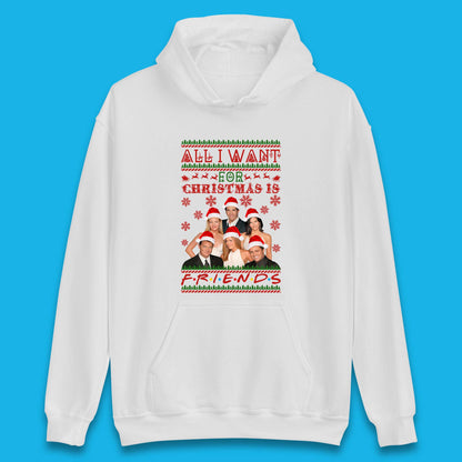 Want Friends For Christmas Unisex Hoodie