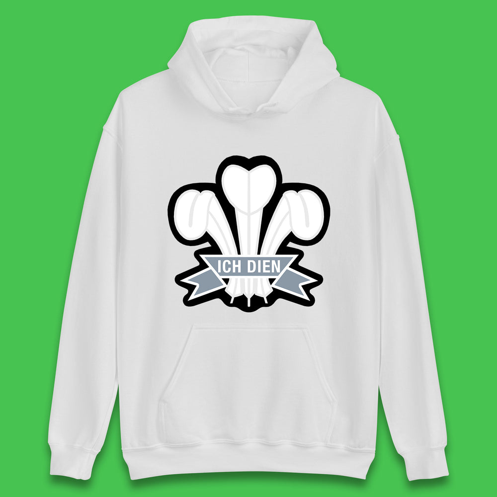 Vintage Wales Rugby Retro Style Wales National Rugby Union Team Welsh Rugby Union Unisex Hoodie