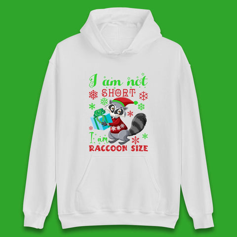 Raccoon Christmas Unisex Hoodie