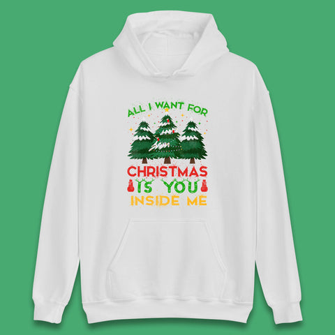 All I Want For Christmas Is You Inside Me Funny Xmas Tree Unisex Hoodie