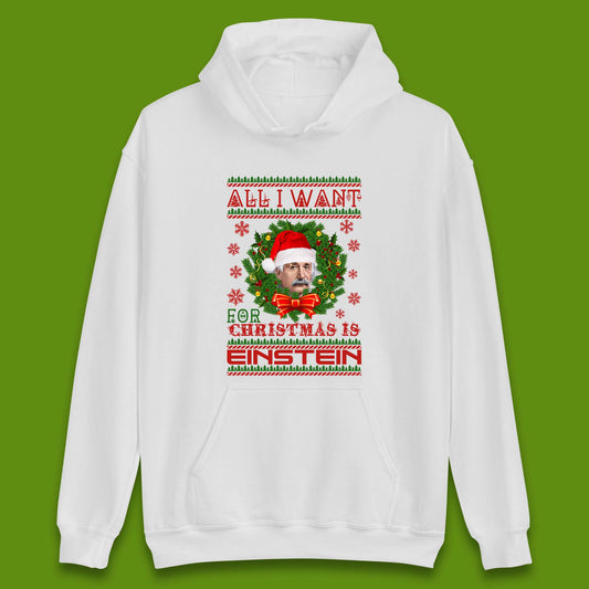 Want Einstein For Christmas Unisex Hoodie