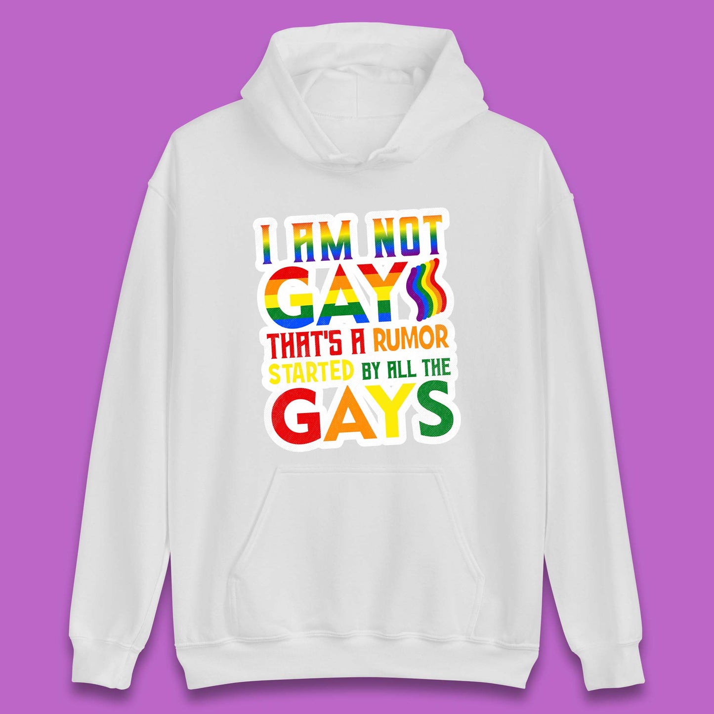 I Am Not Gay Unisex Hoodie