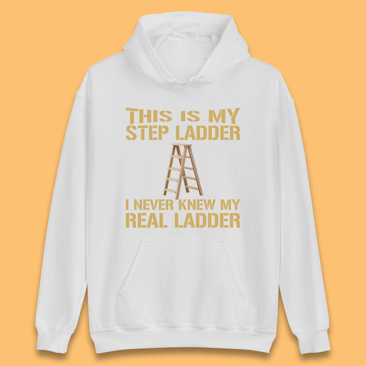 This Is My Step Ladder I Never Knew My Real Ladder Funny Joke Humour Unisex Hoodie