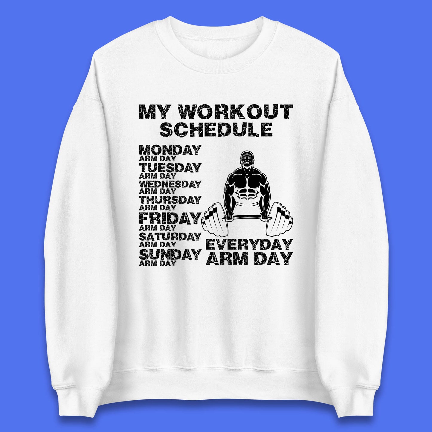 My Workout Schedule Everyday Arm Day Daily Routine  Arm Gym Workout Everyday Of Week Arm Day Fitness Unisex Sweatshirt