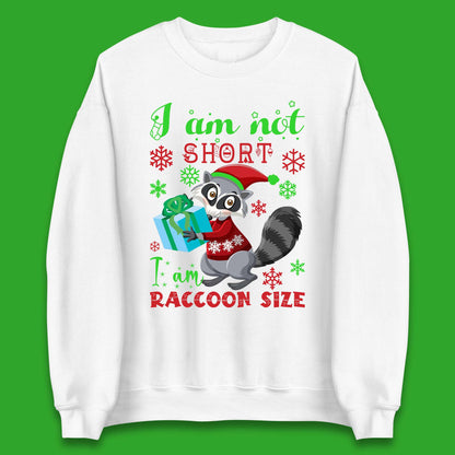 Racoon Christmas Jumper