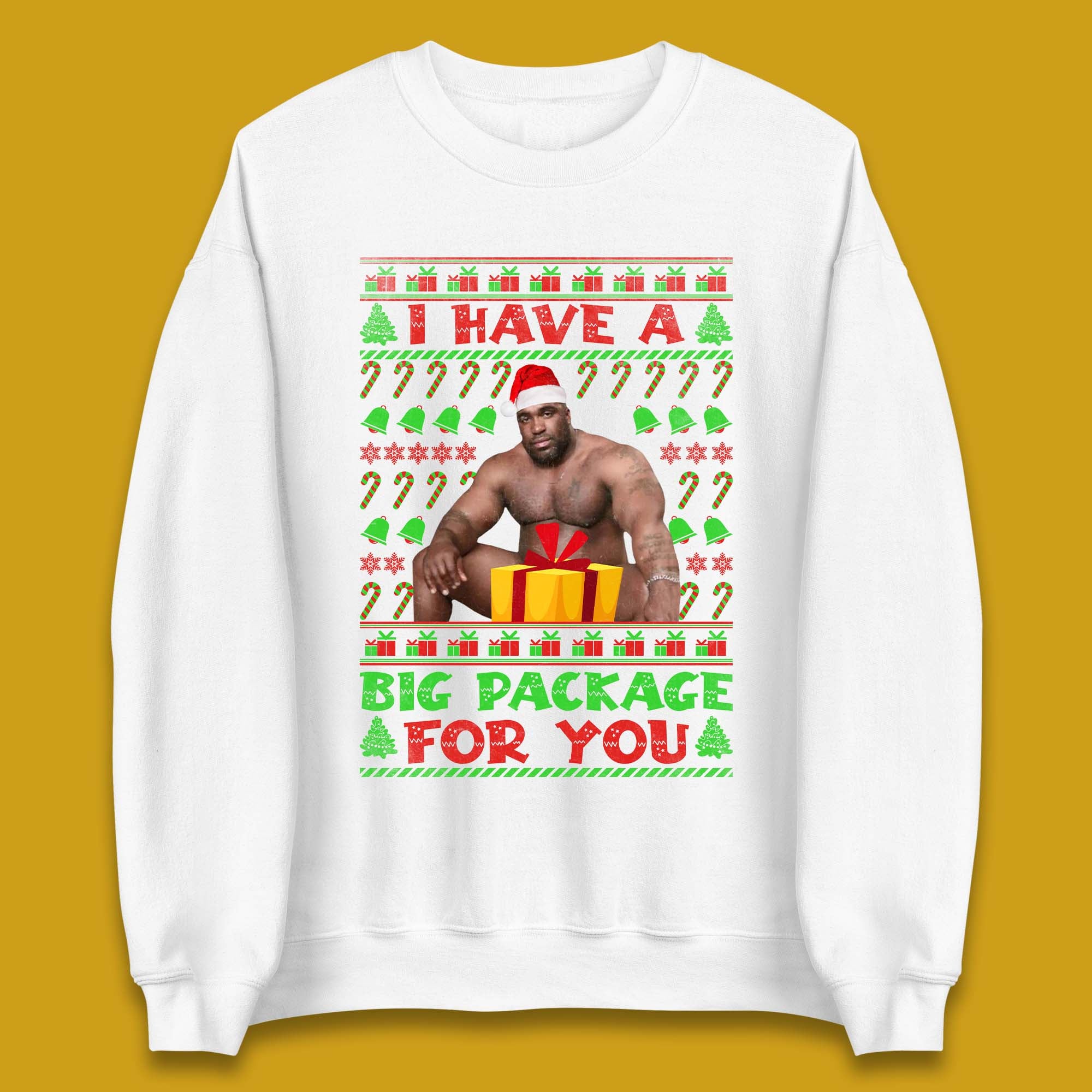 Big Package Ugly Christmas Unisex Sweatshirt