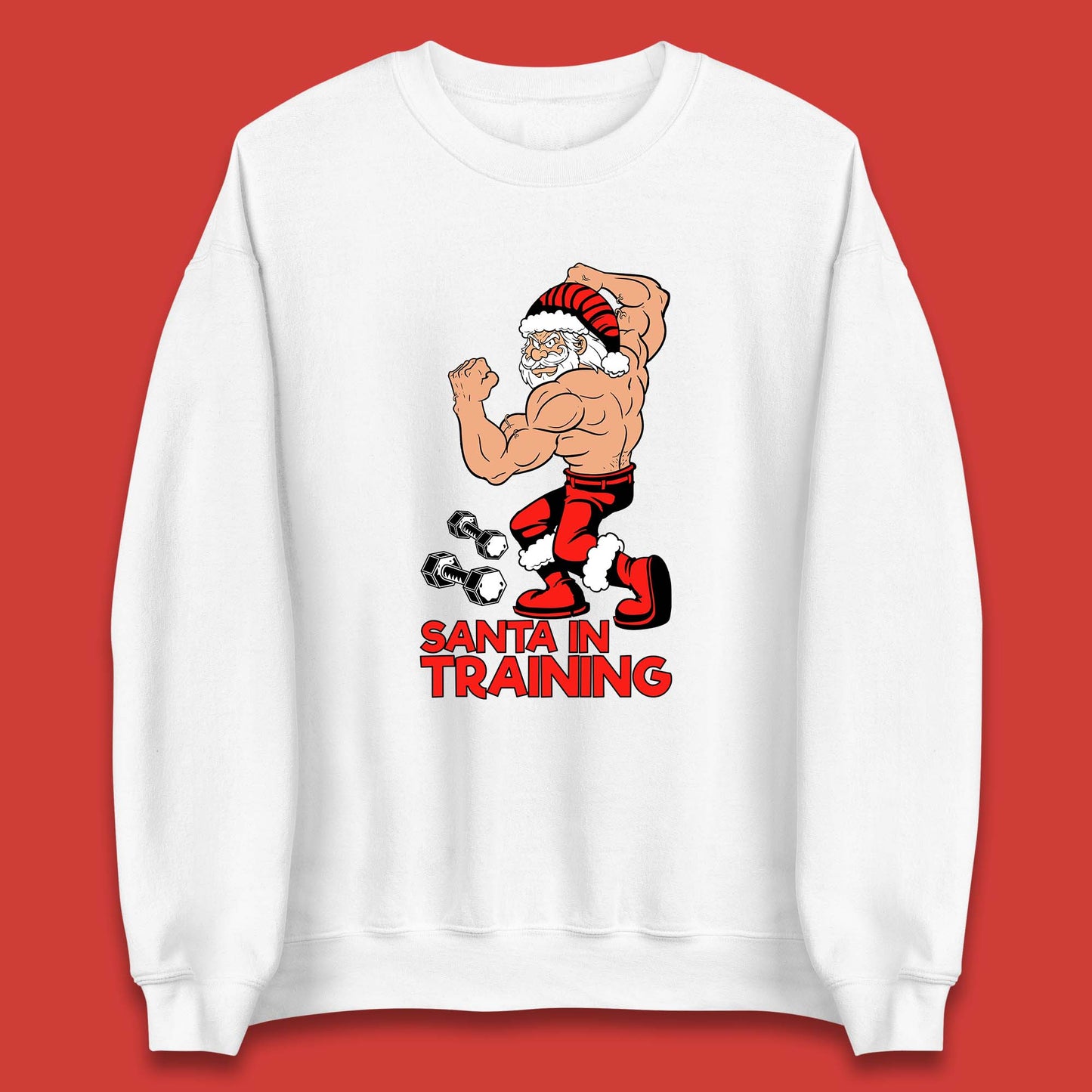 bodybuilding gym sweatshirt