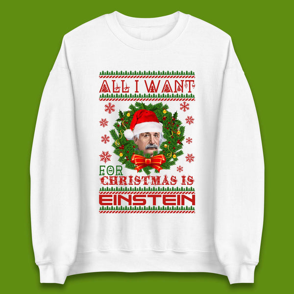Want Einstein For Christmas Unisex Sweatshirt