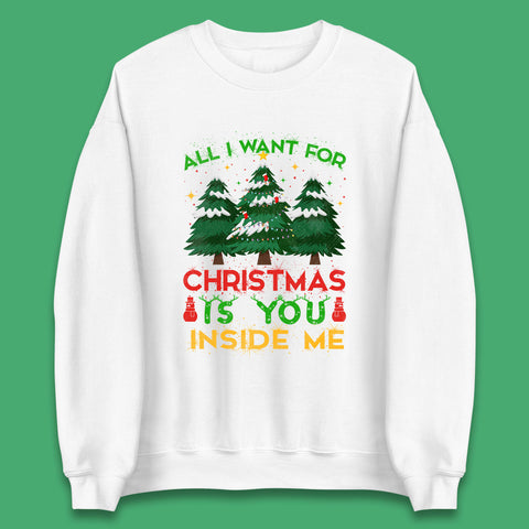 All I Want For Christmas Is You Inside Me Funny Xmas Tree Unisex Sweatshirt