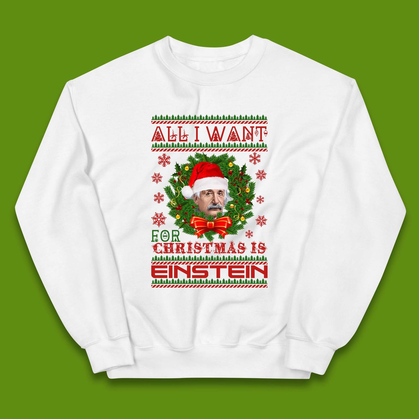 Want Einstein For Christmas Kids Jumper