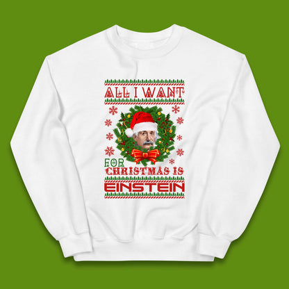 Want Einstein For Christmas Kids Jumper