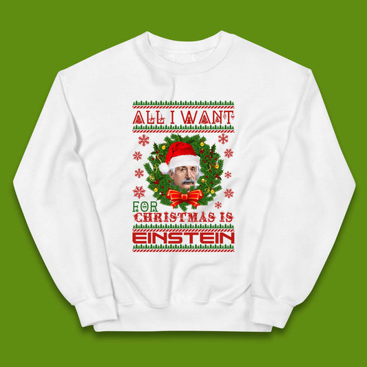 Want Einstein For Christmas Kids Jumper