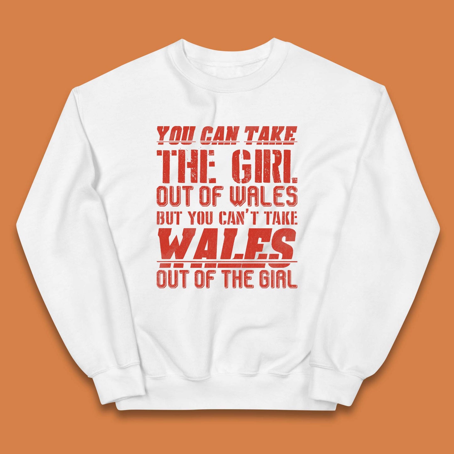 The Girl Out Of Wales Kids Jumper
