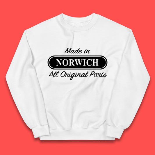 Made In Norwich All Original Parts Vintage Retro Birthday The City of Stories City In England Gift Kids Jumper