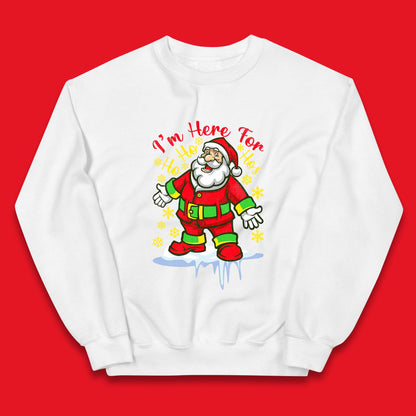 santa claus christmas jumper