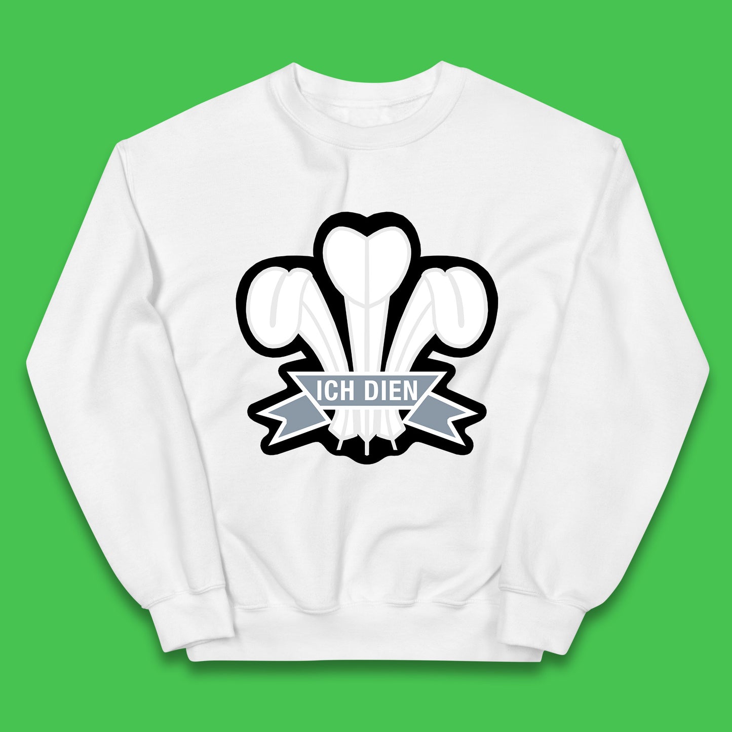 Childrens Welsh Rugby Jumper