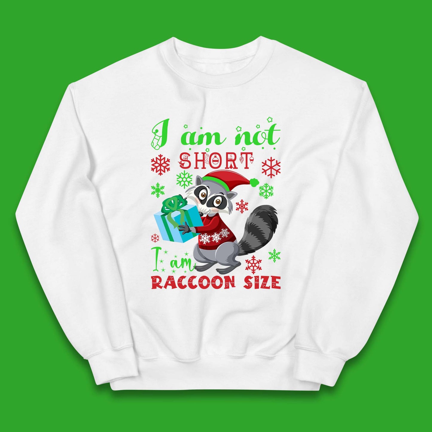Raccoon Christmas Kids Jumper