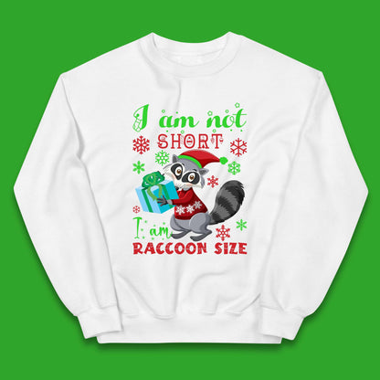 Raccoon Christmas Kids Jumper