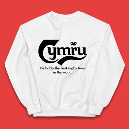 Junior Wales Rugby Hoodie