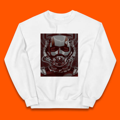 Marvel Comics Ant Man And The Wasp American Superhero Film Ant Man Face Helmet Avengers Movie Kids Jumper