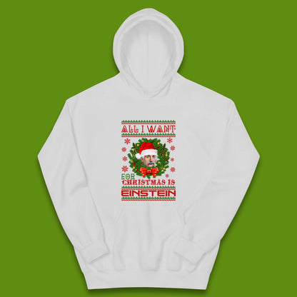 Want Einstein For Christmas Kids Hoodie