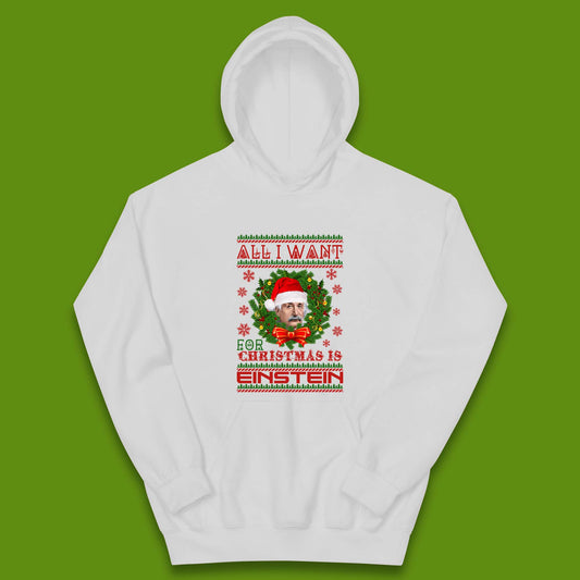 Want Einstein For Christmas Kids Hoodie