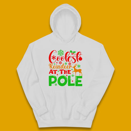coolest reindeer hoodie
