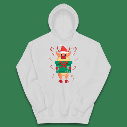 reindeer holding gift christmas hoodie
