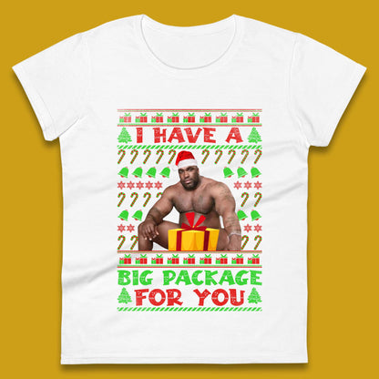 Big Package Ugly Christmas Womens T-Shirt
