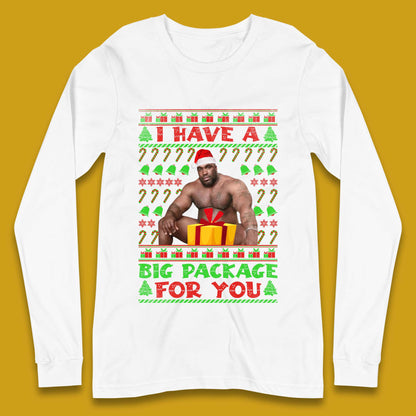 Big Package Ugly Christmas Long Sleeve T-Shirt